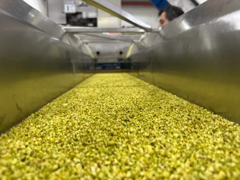 Pistachio Processing Test in Cooperation with Urschel