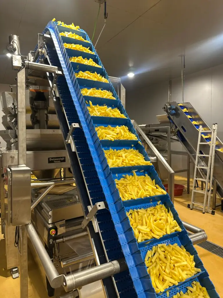 Weeg en verpakkingslijn voor aardappel producten – foto 9