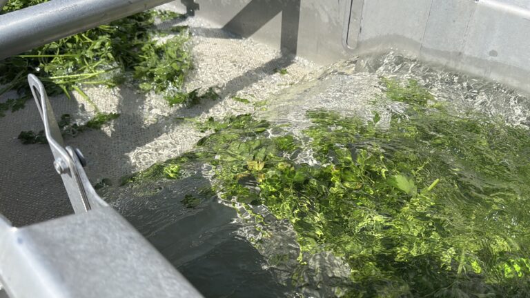 Product wordt gewassen in het waterbad met luchtbeweging